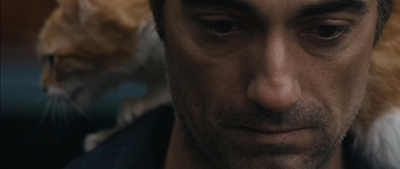 Selim Bayraktar | Orman | The Jungle