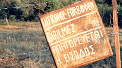 The Olive Tree at the Border