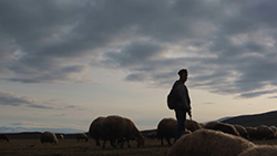 Gezgin | Traveler