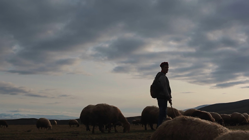 Gezgin | Traveler
