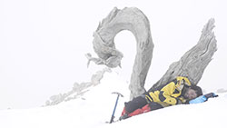 Dragon | Ejderha